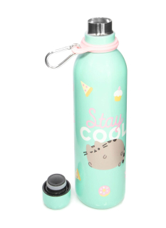Erik Pusheen termofľaša 500 ml
